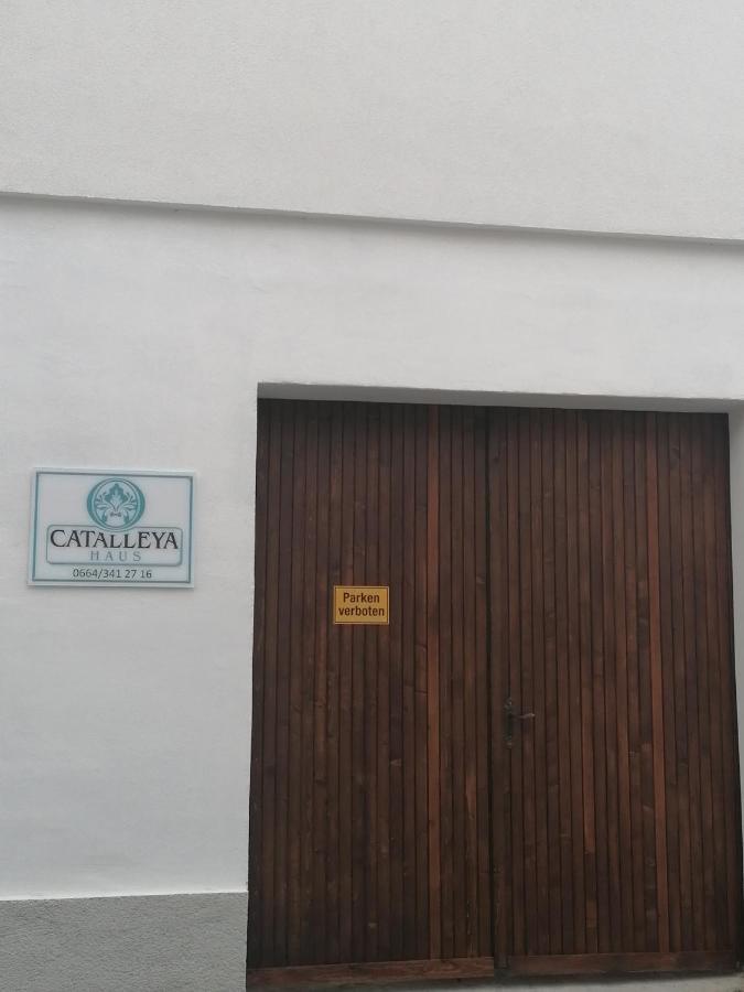 Catalleya Haus 朗根罗伊斯 外观 照片